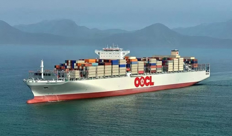 1741314376125093.jpg image005.jpg