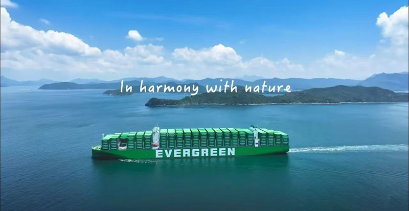 1741314381936242.jpg image007.jpg